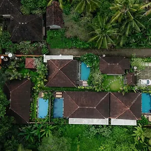 Zone Ubud (Bali)